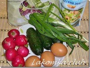 салат из редиса с огурцами и яйцами (3)